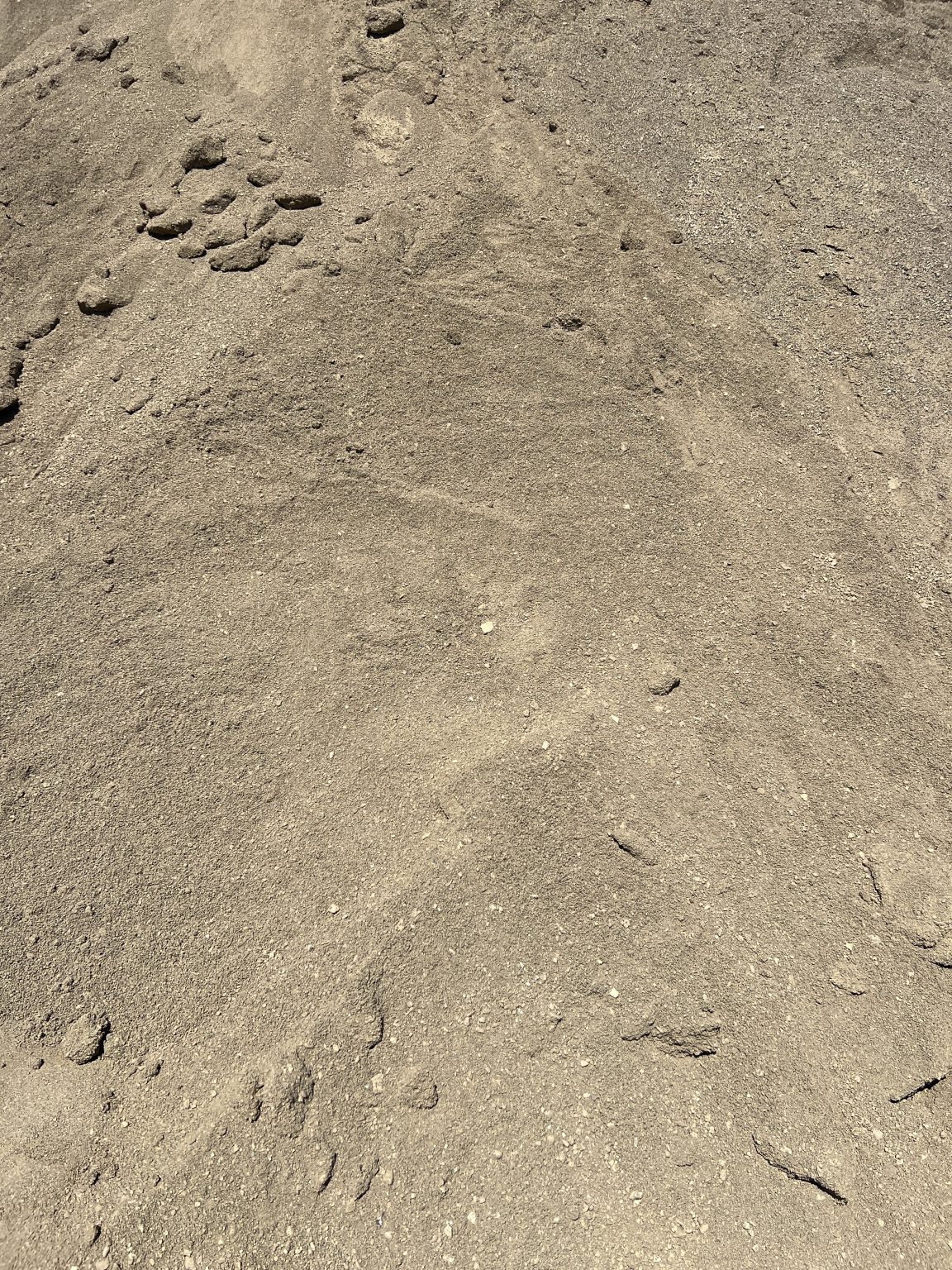 Screened Sand